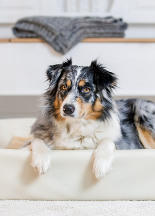 Hundebett KUDDE Kunstleder