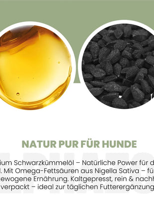 Schwarzkümmelöl für Hunde
