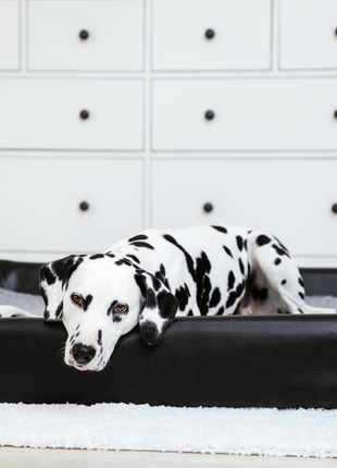 Hundebett KUDDE Kunstleder