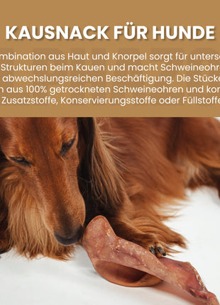 Schweineohren