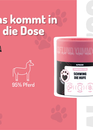Schwing Die Hufe