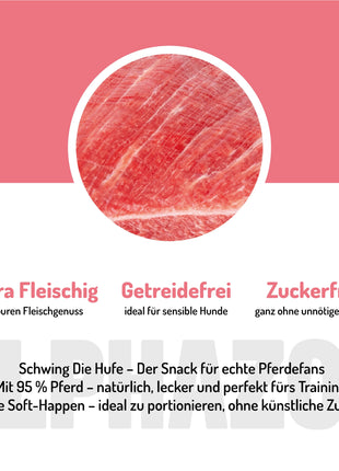 Schwing Die Hufe
