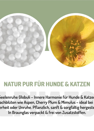 Seelenruhe Bachblüten