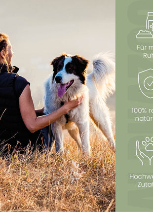 Seelenruhe Futteröl für Hunde