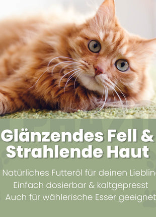 Seelenruhe Futteröl für Katzen