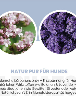 Seelenruhe Körbchenspray für Hunde