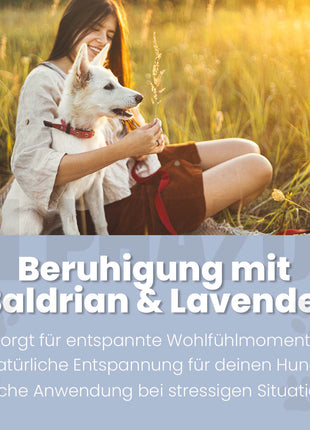 Seelenruhe Körbchenspray für Hunde