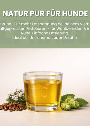 Nachtkerzenöl für Hunde