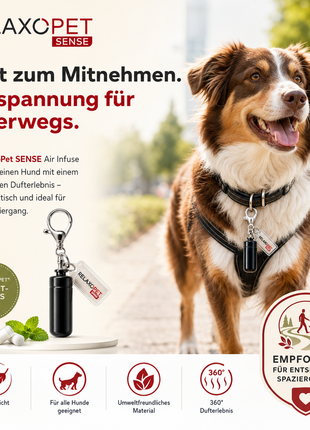 SENSE | AIR INFUSE