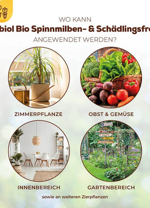 Solabiol Bio Spinnmilben Schädlingsfrei AF