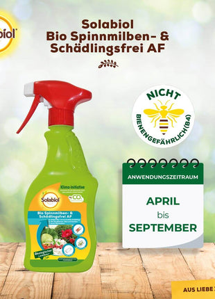 Solabiol Bio Spinnmilben Schädlingsfrei AF