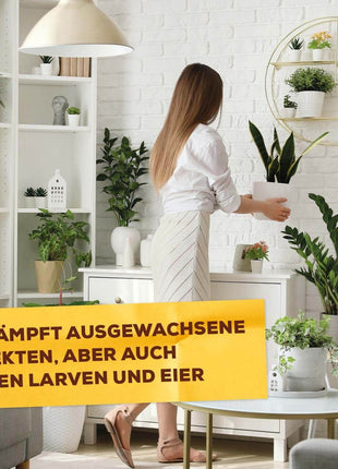 Solabiol Bio Spinnmilben Schädlingsfrei AF