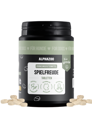 Spielfreude Tabletten