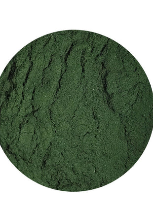 KENKOU Spirulina Pulver – Die natürliche Futterveredelung für gesunde, farbenfrohe Koi