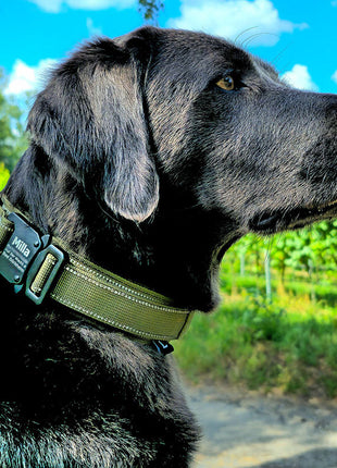 Taktisches Hundehalsband mit Namen und Griff, gratis Gravur auf Schnalle