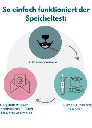 Inhalationsallergene-Test Hund