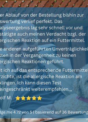 Allergietest Hund