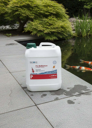 TRIPOND Pilz-Medikament 5000 ml für 100 m²