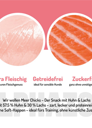 Wir wollen Meer Chicks