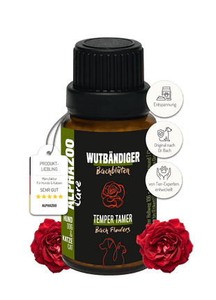 Wutbändiger Bachblüten