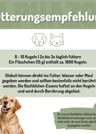 Wutbändiger Bachblüten