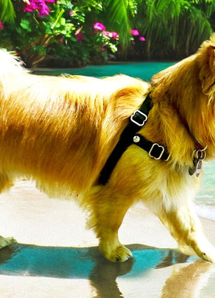 Anti-Stress-Geschirr STURMFREI®, Größe XXS