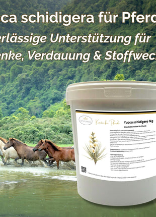 Yucca schidigera Pferd Pulver 1kg