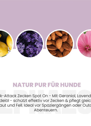 ZeckAttack Spot-On für Hunde