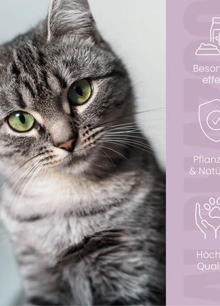 ZeckAttack Spot-On für Katzen