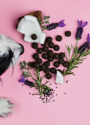 Z-Snack - Gesunder natürlicher Schutz von Tierliebhaber