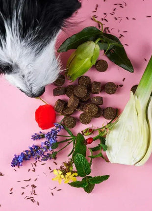 Chillout DROPS zur sanften Beruhigung und Entspannung von Tierliebhaber
