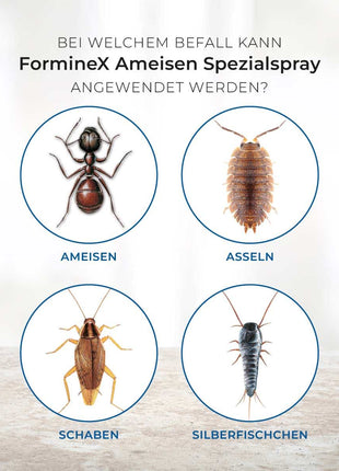 Protect Home Ameisen Spezialspray 500 ml