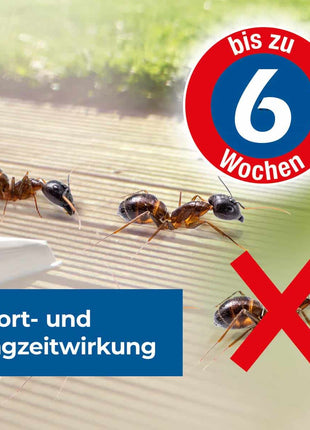 Protect Home Ameisen Spezialspray 500 ml