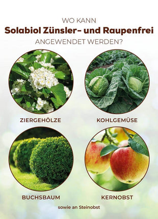 Zünsler- & Raupenfrei 15 ml Sofortiger Fraßstopp