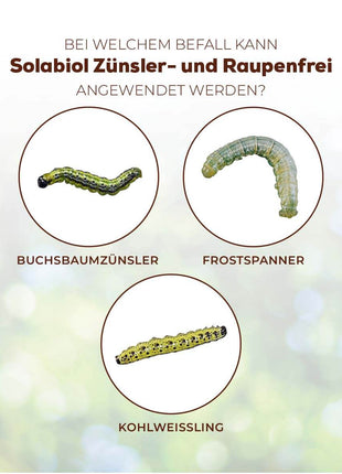 Zünsler- & Raupenfrei 15 ml Sofortiger Fraßstopp
