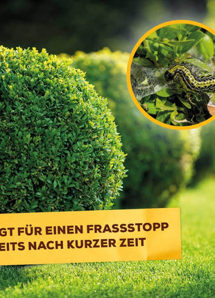 Zünsler- & Raupenfrei 15 ml Sofortiger Fraßstopp