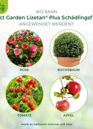 Lizetan Plus Schädlingsfrei AF von 500 ml-3 Liter