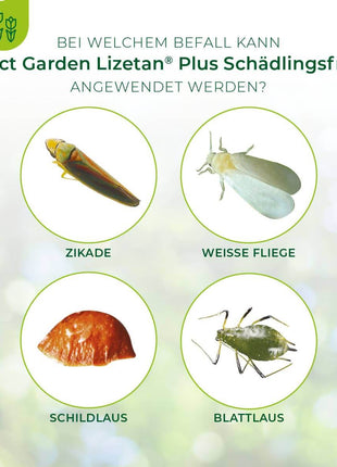 Lizetan Plus Schädlingsfrei AF von 500 ml-3 Liter