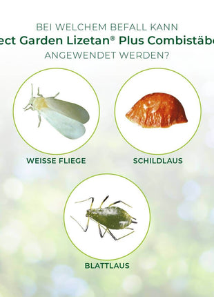 Lizetan Plus Combistäbchen saugende Schädlinge