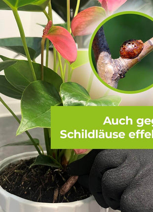 Lizetan Plus Combistäbchen saugende Schädlinge
