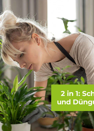 Lizetan Plus Combistäbchen saugende Schädlinge