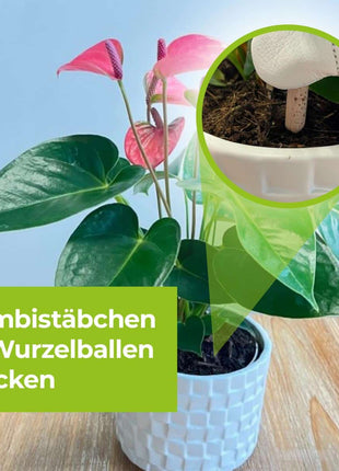 Lizetan Plus Combistäbchen saugende Schädlinge
