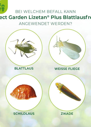 Lizetan Plus Blattlausfrei AF 1000 ml Blattläuse