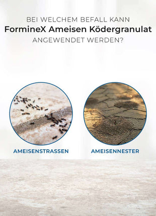 Protect Home Ameisen Ködergranulat  600 g