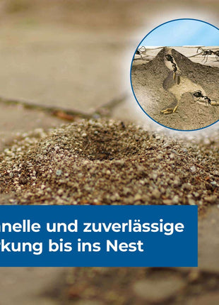 Protect Home Ameisen Ködergranulat  600 g