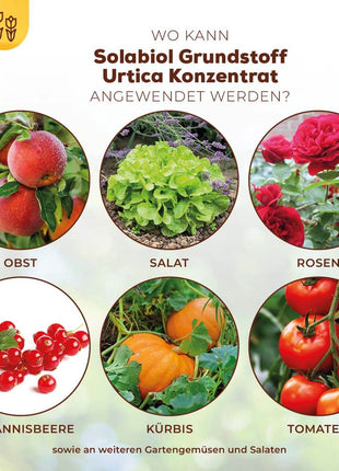Solabiol Grundstoff Urtica Konzentrat 1 l Pilzabwehr 2-in-1