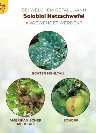 Solabiol Netzschwefel 75 g