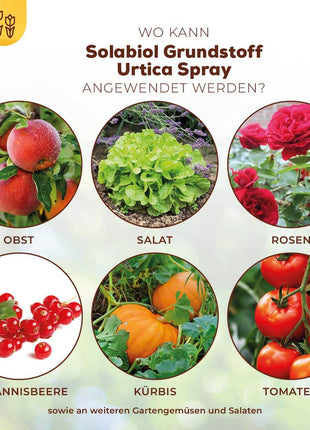 Solabiol Grundstoff Urtica Spray 1 L 2-in-1 Pilzkrankheiten Schadinsekten
