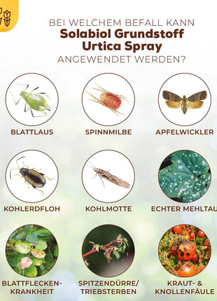 Solabiol Grundstoff Urtica Spray 1 L 2-in-1 Pilzkrankheiten Schadinsekten