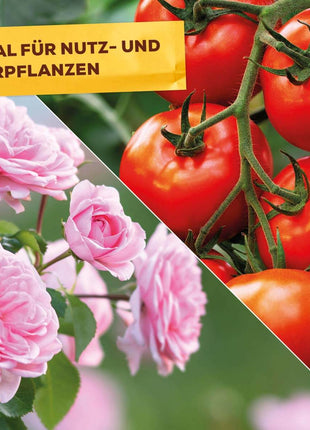 Solabiol Grundstoff Urtica Spray 1 L 2-in-1 Pilzkrankheiten Schadinsekten